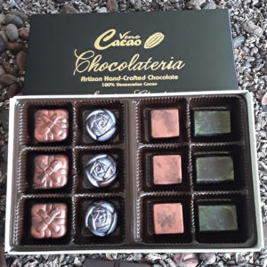 Venezuelan Chocolate Nut Madness box (12pcs)
