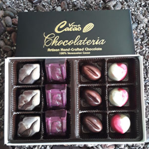 Venezuelan Chocolate Variety box (12pcs)